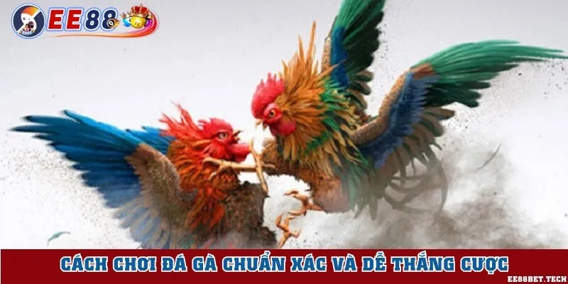 Cách chơi chuẩn thu về lợi nhuận cao
