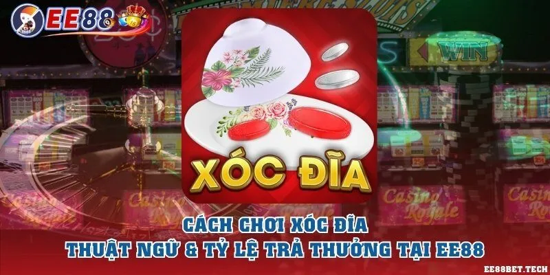Cách chơi xóc đĩa - Thuật ngữ & Tỷ lệ trả thưởng tại EE88
