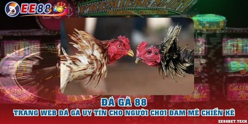 Đá gà 88 – Trang web đá gà uy tín cho người chơi đam mê chiến kê